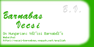 barnabas vecsi business card